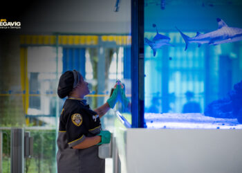 O Papel da Segurança na Gestão de Serviços Terceirizados